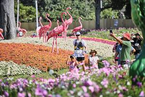 BIB: 
                            <button type="button" onclick="openModal(27794094)" class="btn btn-primary btn-sm float-right btn-popup" data-toggle="modal" data-target=".modal-high-quality">
                        <i class="fas fa-shopping-cart"></i> Add to Cart
                    </button>
                                            <button type="button" onclick="isThisMe(27794094, true)" class="btn btn-success btn-sm float-right btn-popup btn-isme hidden" data-toggle="tooltip" data-placement="bottom" title="นี่คือรูปของคุณใช่ไหม คลิกที่นี่เพื่อเอาเข้าอัลบั้ม">
                        <i class="fas fa-plus"></i> Add to album
                    </button>
                    <button type="button" onclick="isThisMe(27794094, false)" class="btn btn-warning btn-sm float-right btn-popup btn-isnotme hidden">
                        <i class="fas fa-ban"></i> Remove from album
                    </button>